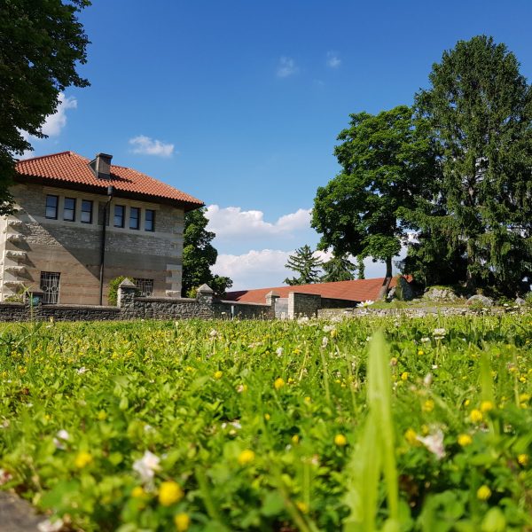 Villa Carntum Niederösterreich