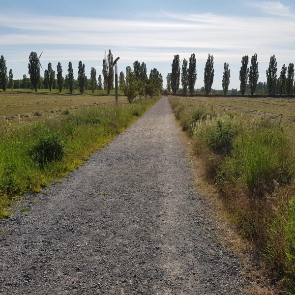 Canrumtum fotografie