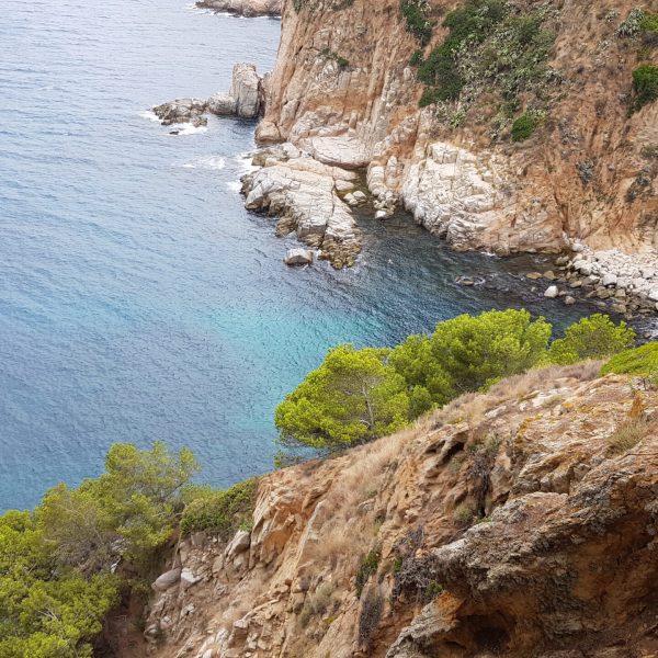 Küste Fels Brandung