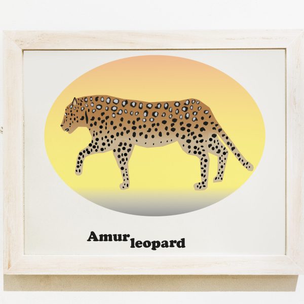 Amaruleopard